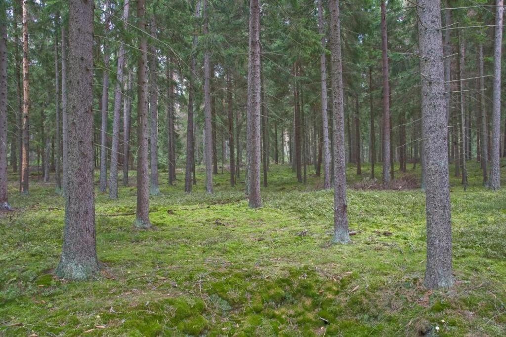 Agroturystyka Skoszewo Exterior foto